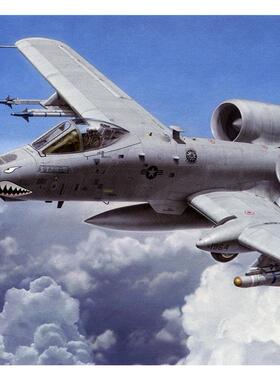 津卫模谷 长谷川 01573 1/72 美国 A-10C 雷电II 攻击机 拼装模型