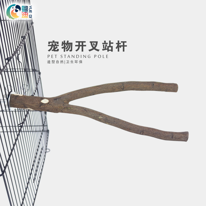 鹦鹉鸟笼内站杆休息粤迪