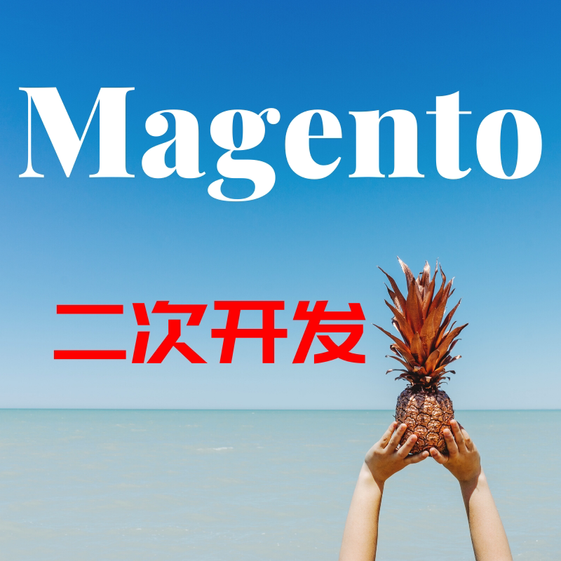 magento2开发 模板定制其它设计服务