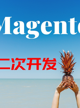 magento2开发 模板定制  stripe插件开发 收款接口对接