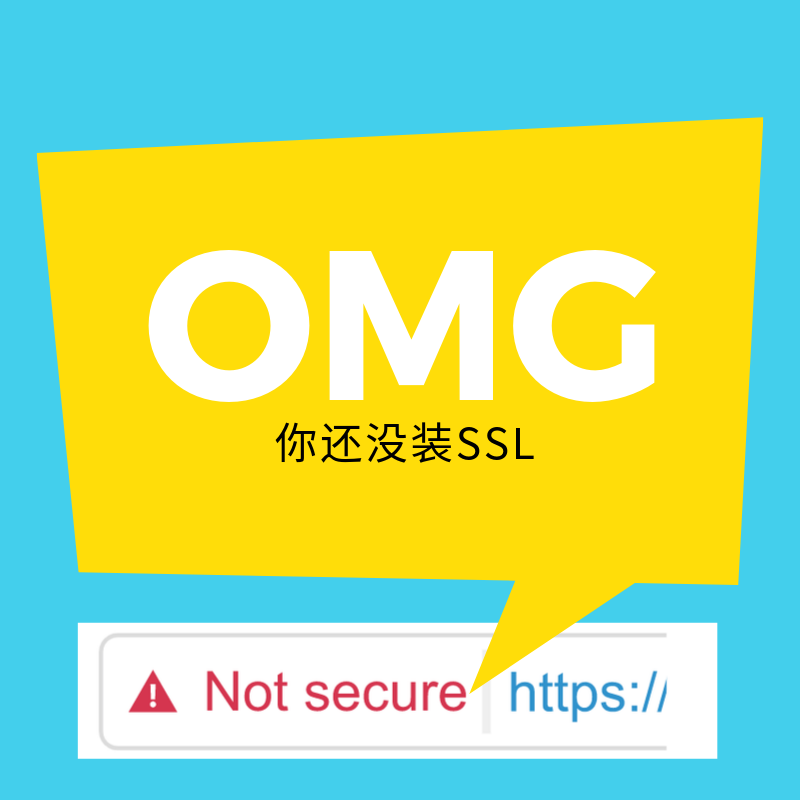 SSL全站解决 网站SSL安全其它设计服务