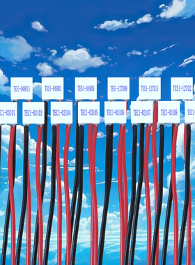 2020制冷片3V温差TEC1-03101 03106 03110 5V致冷04905 12V 12702