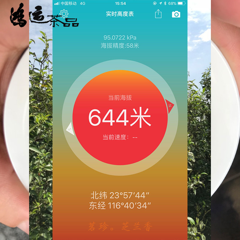 宋种芝兰香潮州凤凰单枞茶乌岽名茶高山浓香单丛茶叶碳焙单从特级