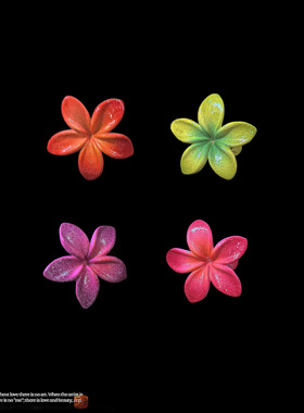 WEIQIN 夏威夷海岛花 HAWAII 白莲花山庄 夹发饰 HAIR DECO