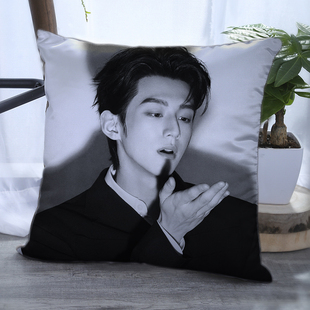 赖伟明周边抱枕男星同款枕头粉丝靠枕靠垫生日礼物送同学宿舍趴枕