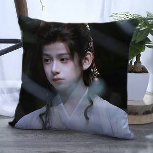 林子烨周边抱枕女生来图定制云之羽雪重子宿舍靠垫创意应援物闺蜜