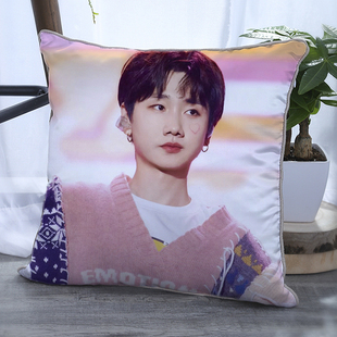 桃花坞650周边抱枕汪苏泷李雪琴徐志胜辣目洋子来图定制双面靠枕