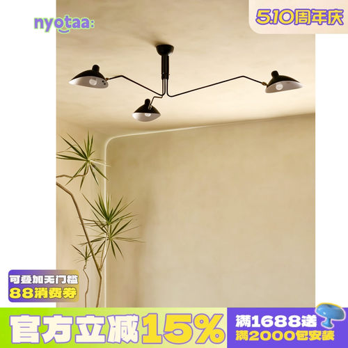 设计师同款，张牙舞爪鸭嘴吊灯