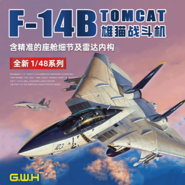 长城F-14BTOMCAT熊猫战斗机