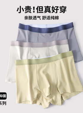 【棉绪】纯棉男士内裤男式中腰无痕平角裤10A抑菌裆男生四角裤
