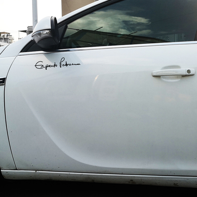 哈利波特呼神护卫咒贴纸