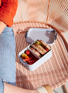 mepal便当盒饭盒上班族带饭分格减脂餐盒寿司冷食水果沙拉保鲜盒