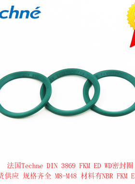 法国Techne DIN 3869 M60*2 FKM ED WD 氟橡胶密封圈EPDM垫片 2