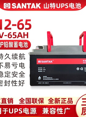 山特 SANTAK UPS不间断电源电池 铅酸蓄电池免维护12V65AH C12-65