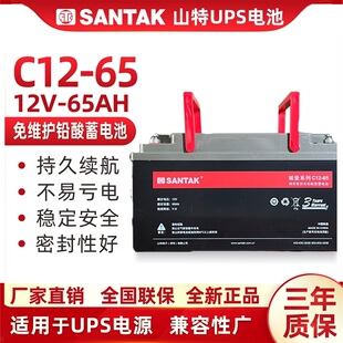 铅酸蓄电池免维护12V65AH 山特 SANTAK UPS不间断电源电池 C12
