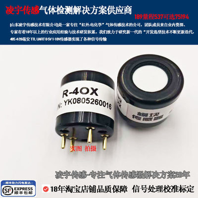 R-4OX氧气传感器EX-100%可燃