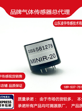 英国GSS MINIR-5/20/60/100红外气体MINIR-2二氧化碳传感器R-M-20