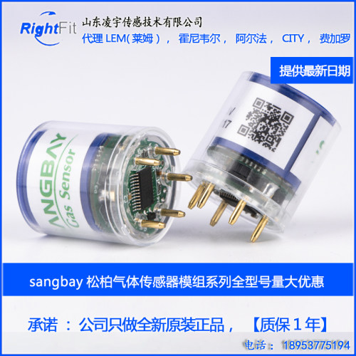 松柏K-5S模组可燃LEL氧气O2硫化氢HS2一氧化碳CO传感器CY-GAS02 - 封面