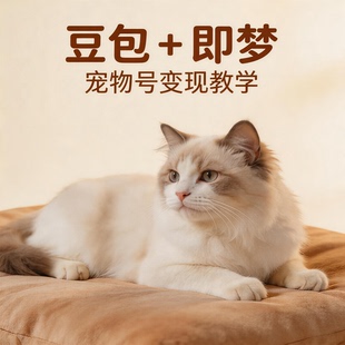 豆包+即梦Seedance2.0AI零基础做抖音小红书宠物猫咪带货视频教程