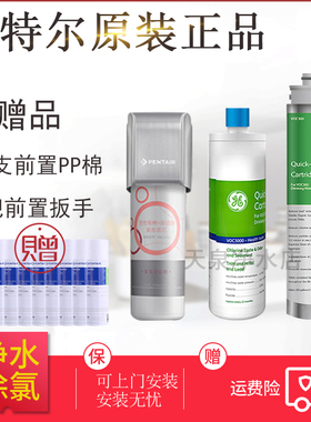 美国GE通用CTO ATS2500 5000 VOC3000 6000 VIR1500 S净水器滤芯