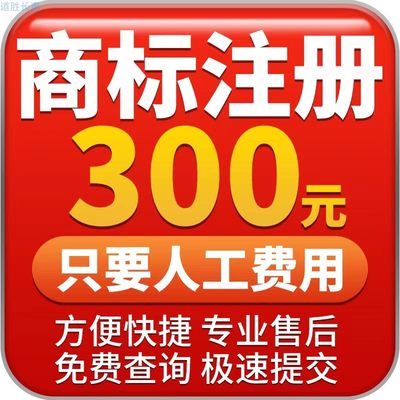 商标注册商标申请登记商标代理logo设计版权登记高新技术企业认定