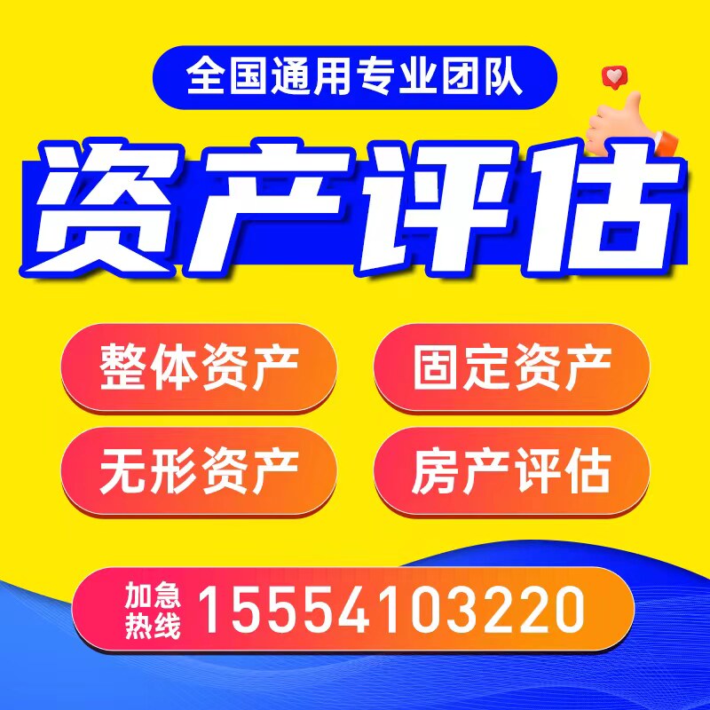 评估报告资产机械商标专利固定无统计 审计