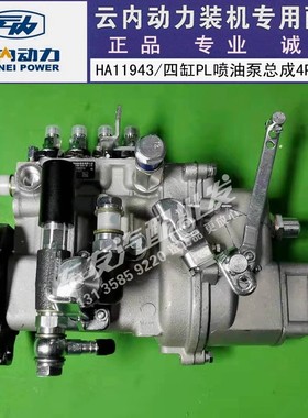 云内4100 4102QBZL高压喷油泵HA11493柴油泵 YN33 YN38高压燃油泵