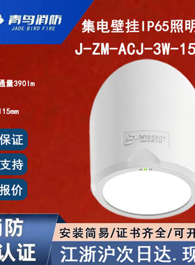 正品北大青鸟J-ZM-ACJ-3W-159BD壁挂灯 IP65防水青鸟应急照明灯具