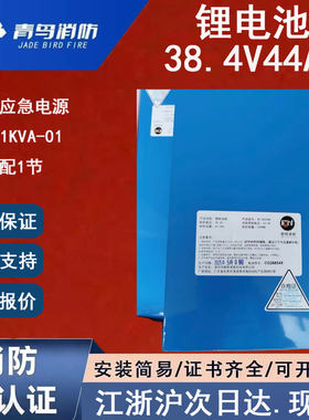 北大青鸟38.4V44AH锂电池
