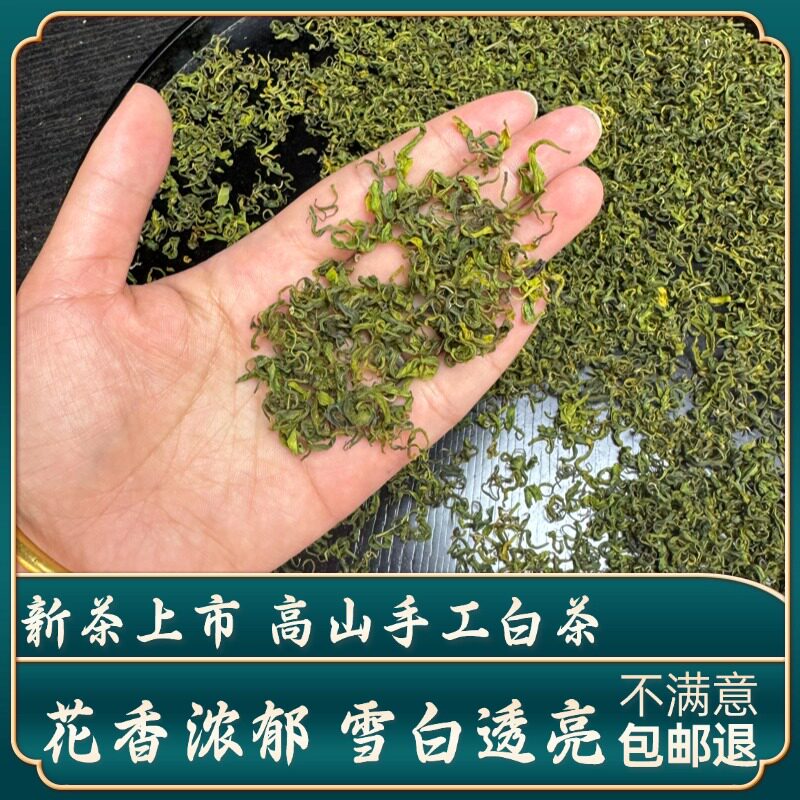 【雨前一级手工白茶】2026新茶溪龙高山绿茶高兰花香罐装茶叶图片