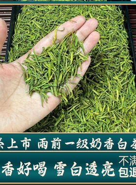 【雨前一级奶香白茶】新茶浓香高山绿茶茶叶御子恒散装礼盒