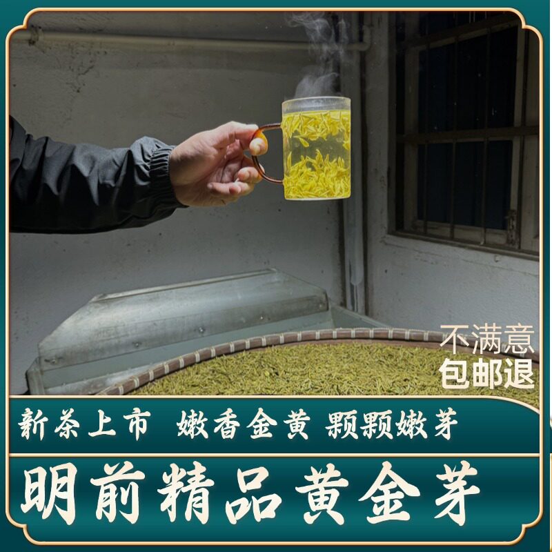 【明前精品黄金芽】2026新茶上市特级高山绿茶嫩芽高香御子恒茶叶图片
