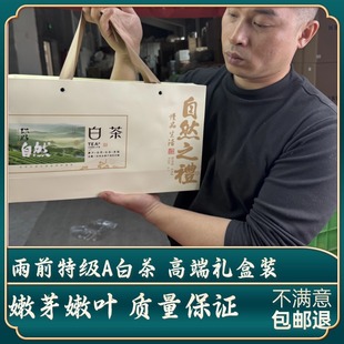 【礼盒】新茶雨前特级A白茶高山春茶兰花香嫩芽安吉高端过年送礼