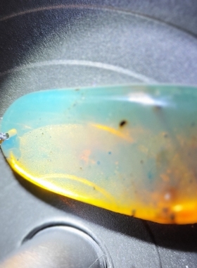 天然琥珀蜜蜡缅甸金兰珀吊坠黑色底变绿吸光时间长