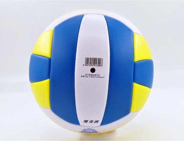 Ballon de volley - Ref 2012847 Image 4