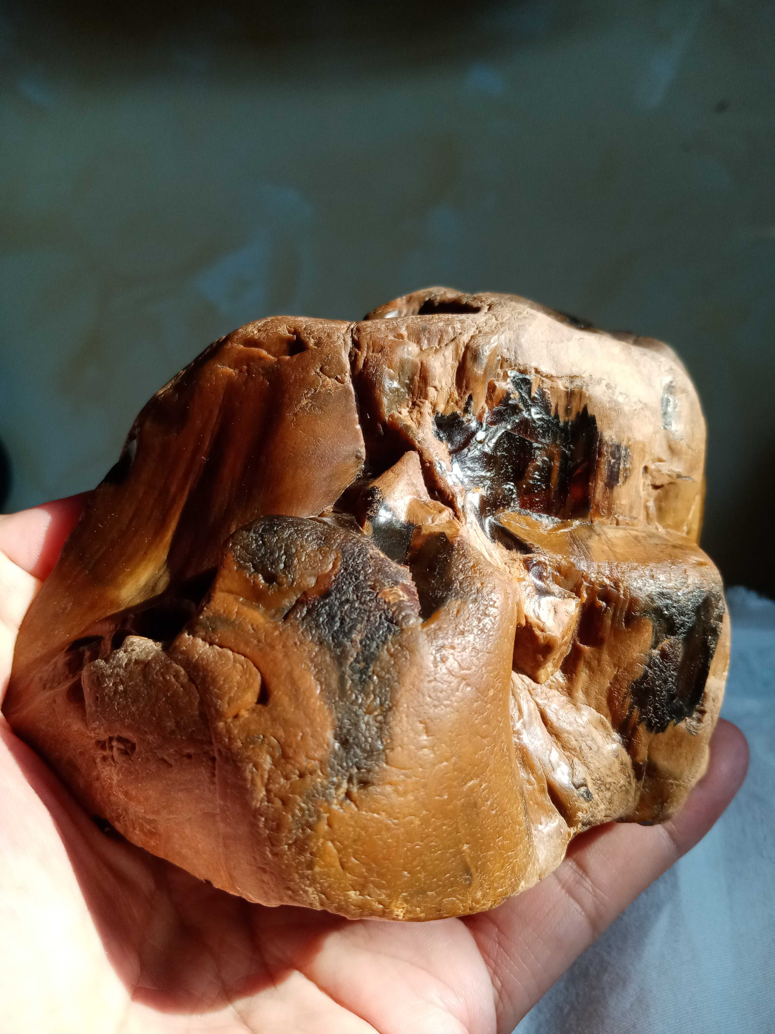 黑龙江瑰宝树化玉原料摆件奇石头硅化木树节有机宝石小山子902克