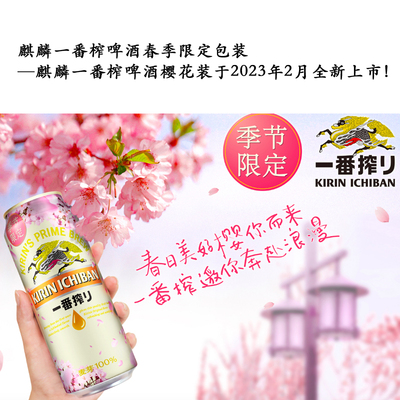 麒麟550ml珠海11樱花版