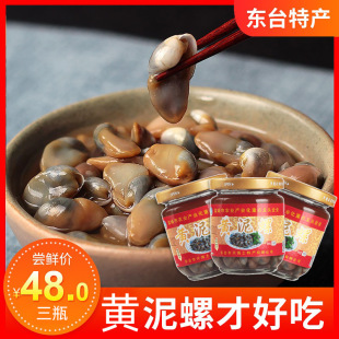 东台特产醉螺添潮黄泥螺即食凉菜168g×3瓶天海无沙醉泥螺咸甜味