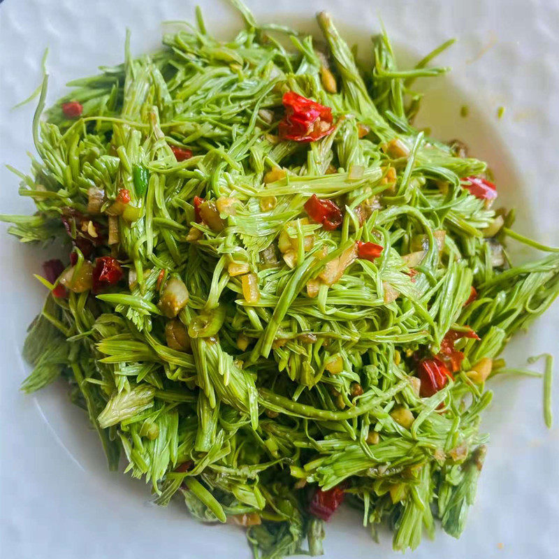 高山沙松尖火锅凉拌素菜酒店饭店餐饮特色半成品食材预制新鲜野菜