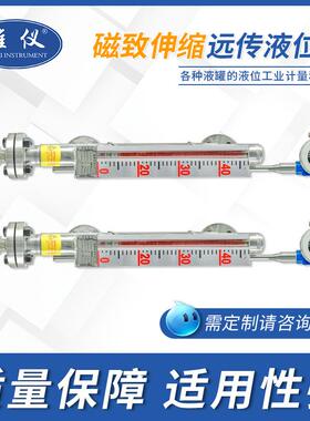 专业生产 CZSSS70磁翻板液位计 带磁致伸缩液位计9传-204远mA
