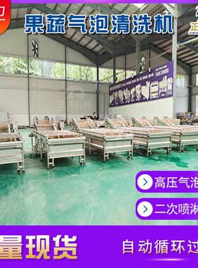 蔬菜果气泡清水椰洗机 高压AXA喷淋式洗萝卜器 花机菜清洗设备