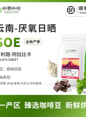 意式SOE百利甜云南庄园厌氧日晒意式咖啡豆新鲜烘焙可现磨250g