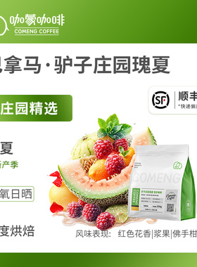 咖蒙咖啡驴子庄园瑰夏冲咖啡豆精品新鲜烘焙可现磨咖啡粉125g