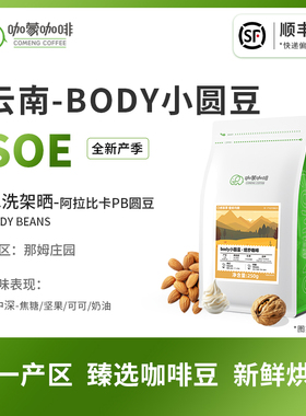 意式SOE云南BODY小圆豆 庄园水洗意式咖啡豆新鲜烘焙可现磨250G