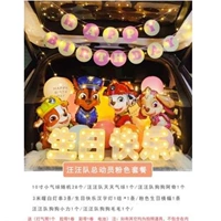 Wangwang Team Birthday Package 5