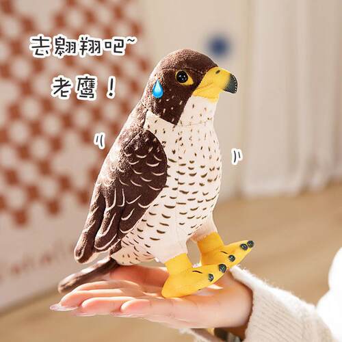 仿真老鹰公仔毛绒玩具