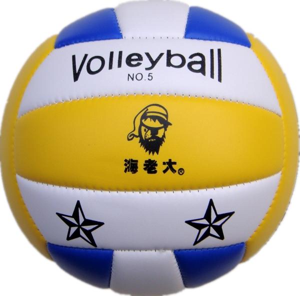Ballon de volley-ball - Ref 2016508 Image 3