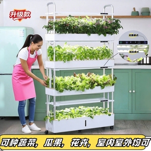 欧林泽智能种菜机水培蔬菜无土栽培蔬菜设备阳台绿植花卉种植架