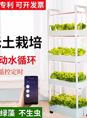家庭水培蔬菜室内阳台立体水培