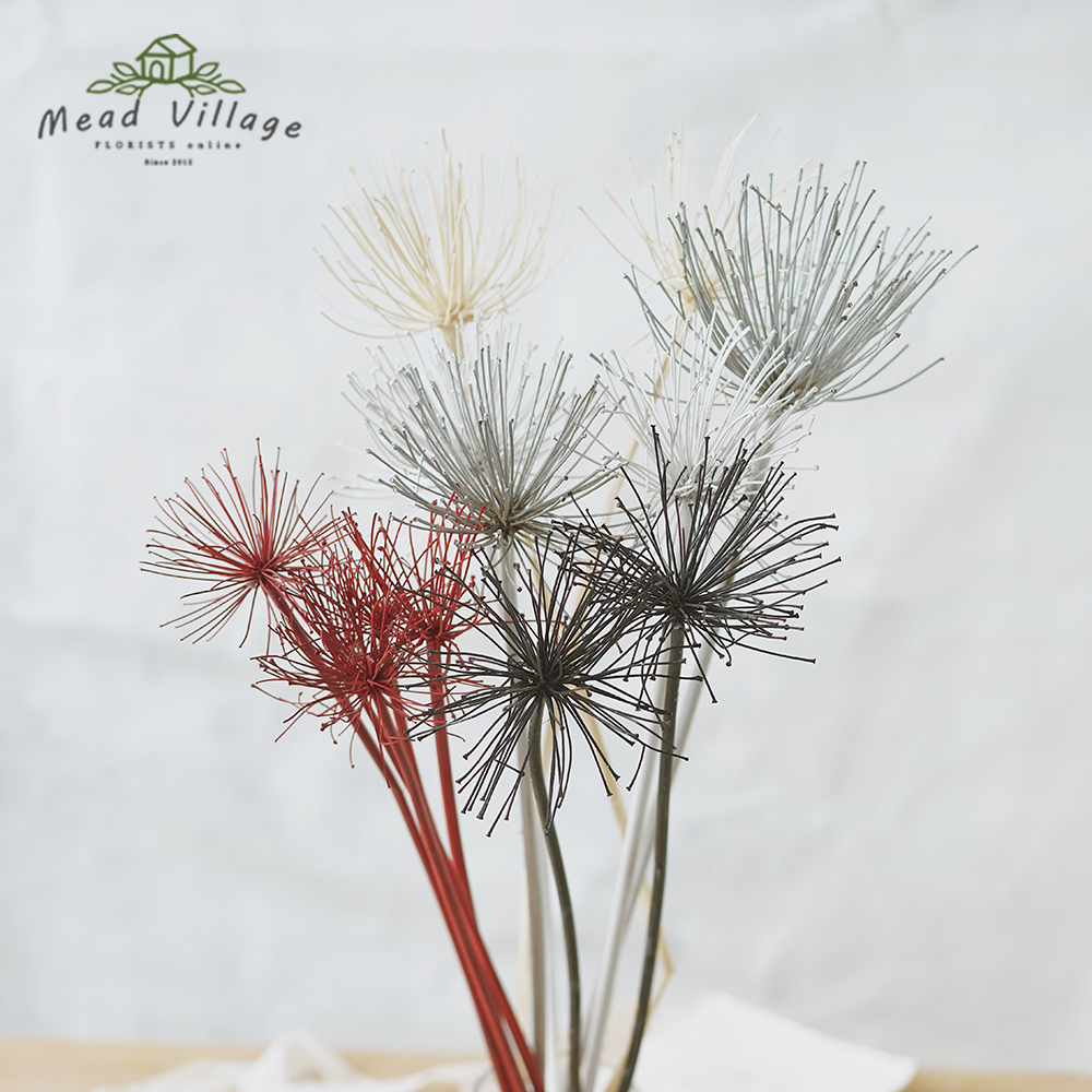 ins风干花天然植物曼殊沙华蒲公英茶室室内软装瓶插花装饰摆件